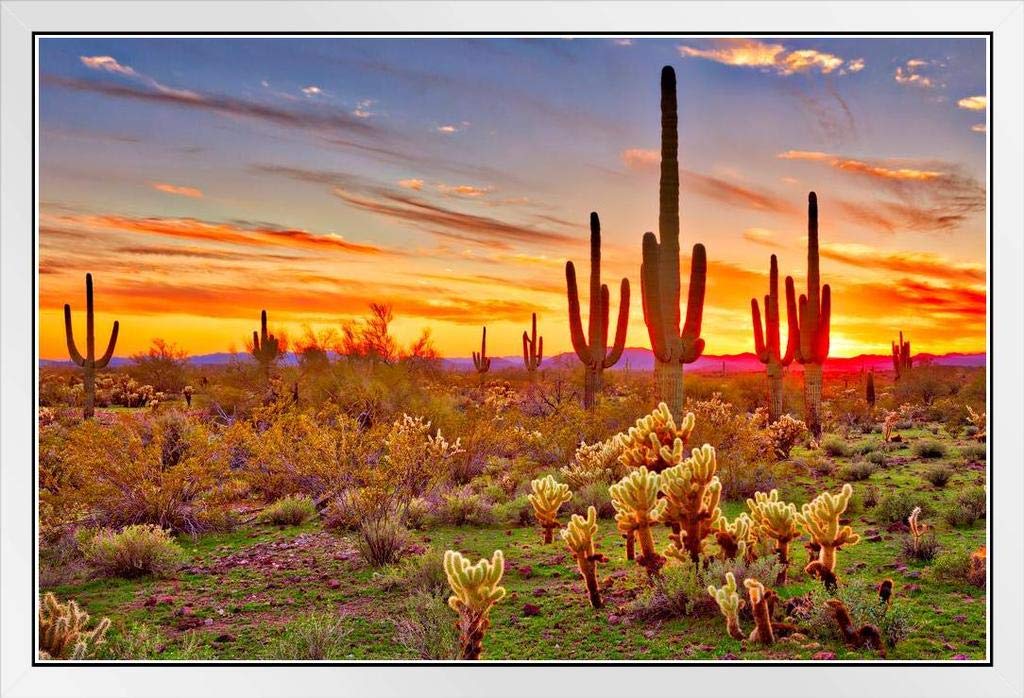 Arizona アリゾナ州サボテン アンティーク絵画油彩アメリカインテリアナバホ Amazon.co.jp: サグアロサボテンとカラフルな砂漠の夕日 アリゾナ州